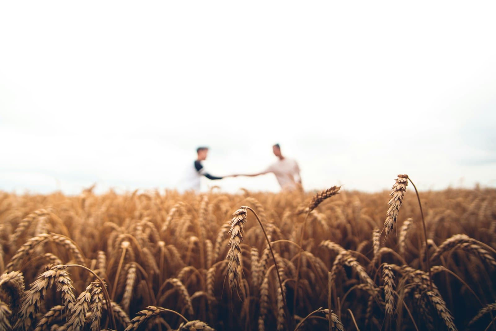 Data Analytics in Agriculture: Feeding the World with Data