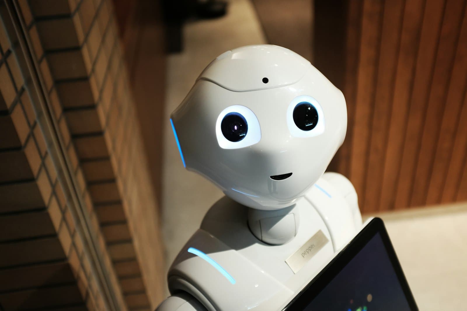 10 Real-World Machine Learning Applications You Use Every Day